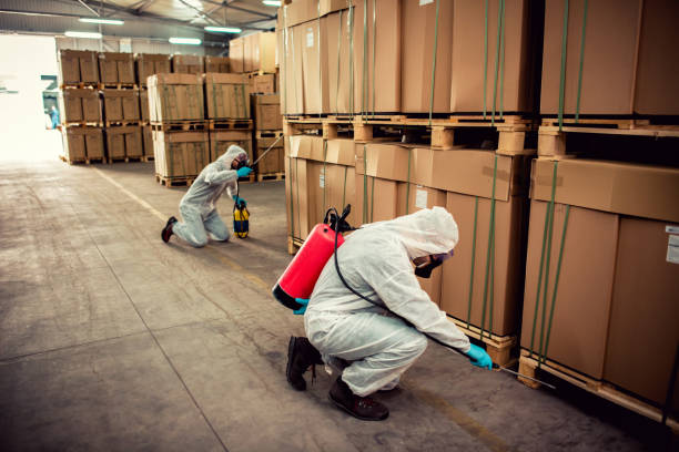 Best Mosquito Control Services  in Baltimore, MD
