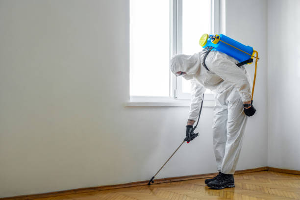 Pest Control Cost in Baltimore, MD